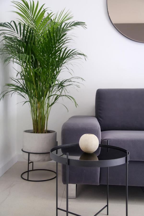 Apartments Hugo 2 سبليت المظهر الخارجي الصورة